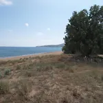 Voula