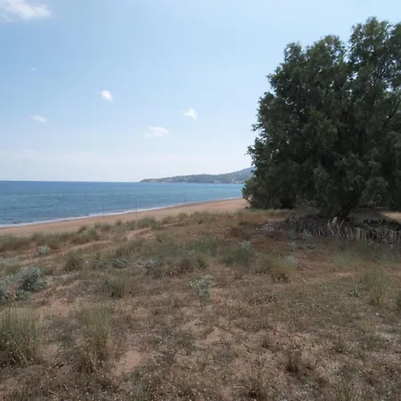 Voula